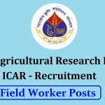 Indian Agricultural Research Institute job apply