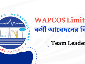 WAPCOS Limited Job Apply