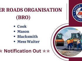 Border Roads Organisation (BRO)